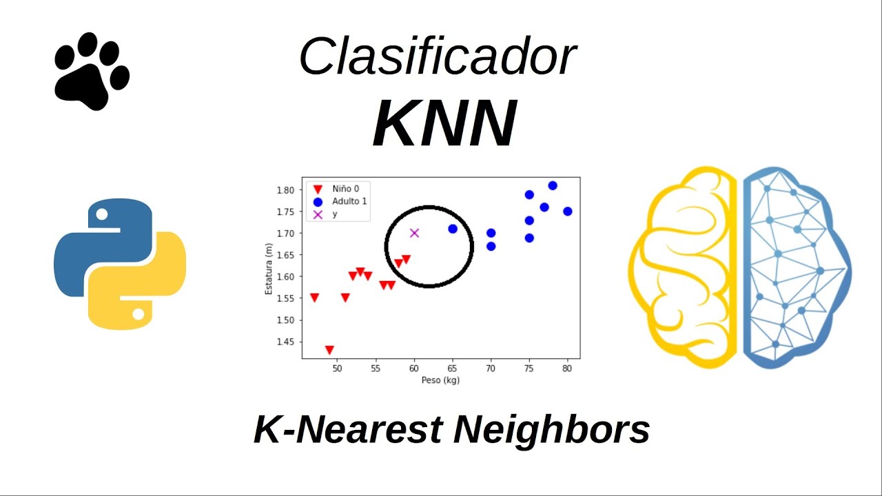 Clasificador KNN | Machine Learning | Aprendizaje Automático | Python