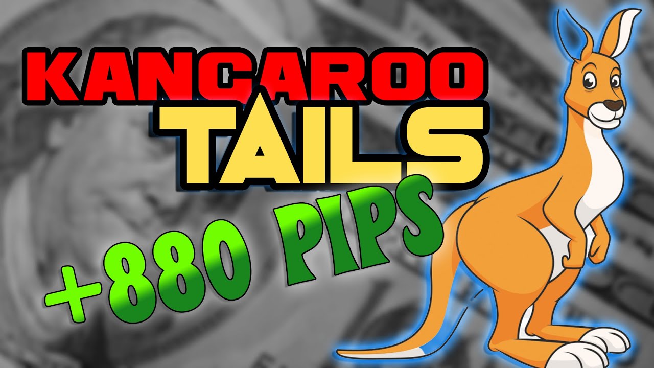 Trading Kangaroo Tails | The Perfect Price Action Entry Strategy