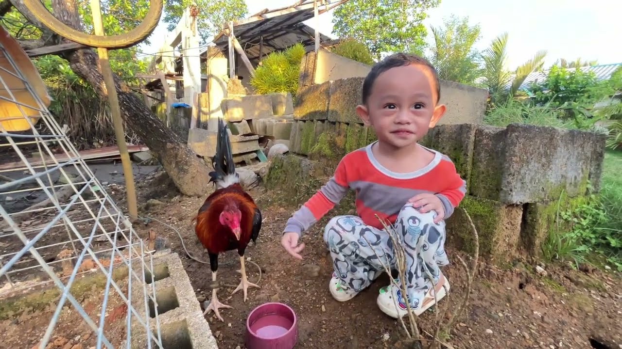 ANG BATANG MAHILIG SA MANOK | BUMISITA KAMI SA LUGAR NILA DADA BAGJOY #family #familyvlog #youtube 