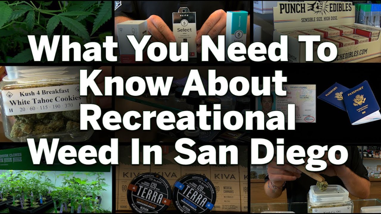 What You Need To Know About Recreational Weed In San Diego | San Diego U