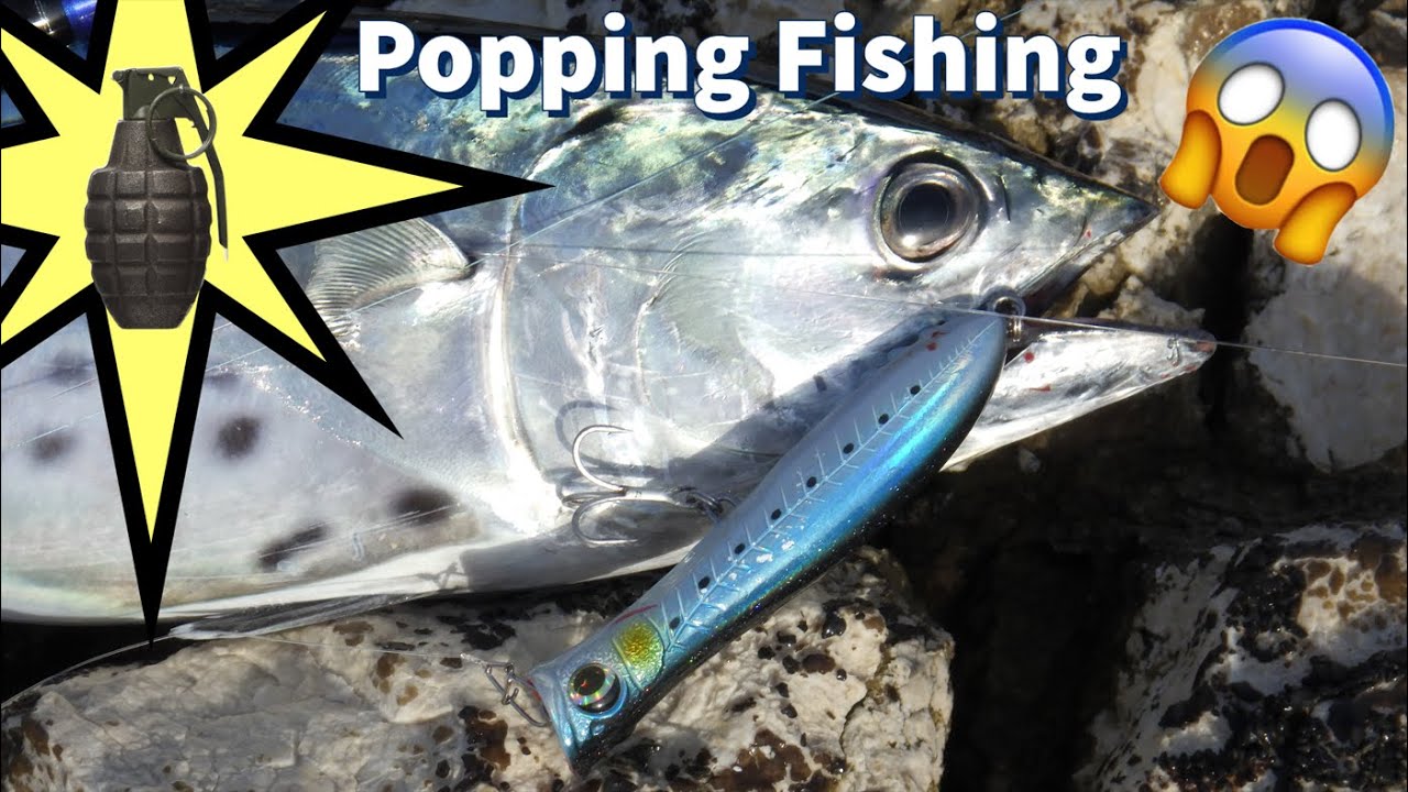 FISHING! This small POPPER is like a GRENADE! Saved my @ss on a HOPELESS day!