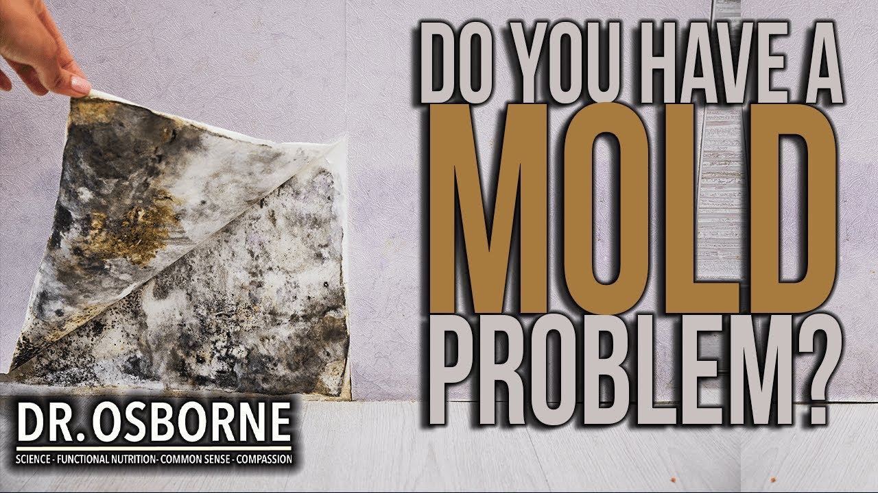 Do you have a mold problem?