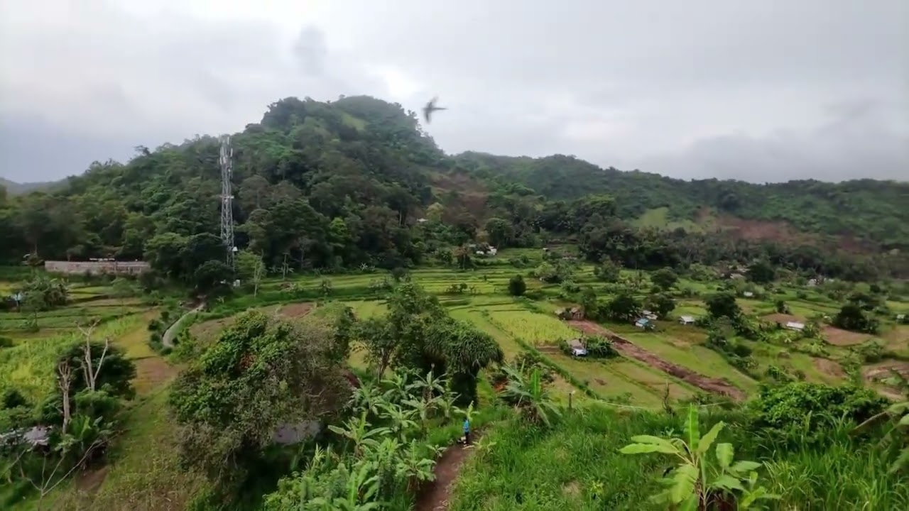 bukit miasa 1st batt  || temple on the hill  || 🚫OSD