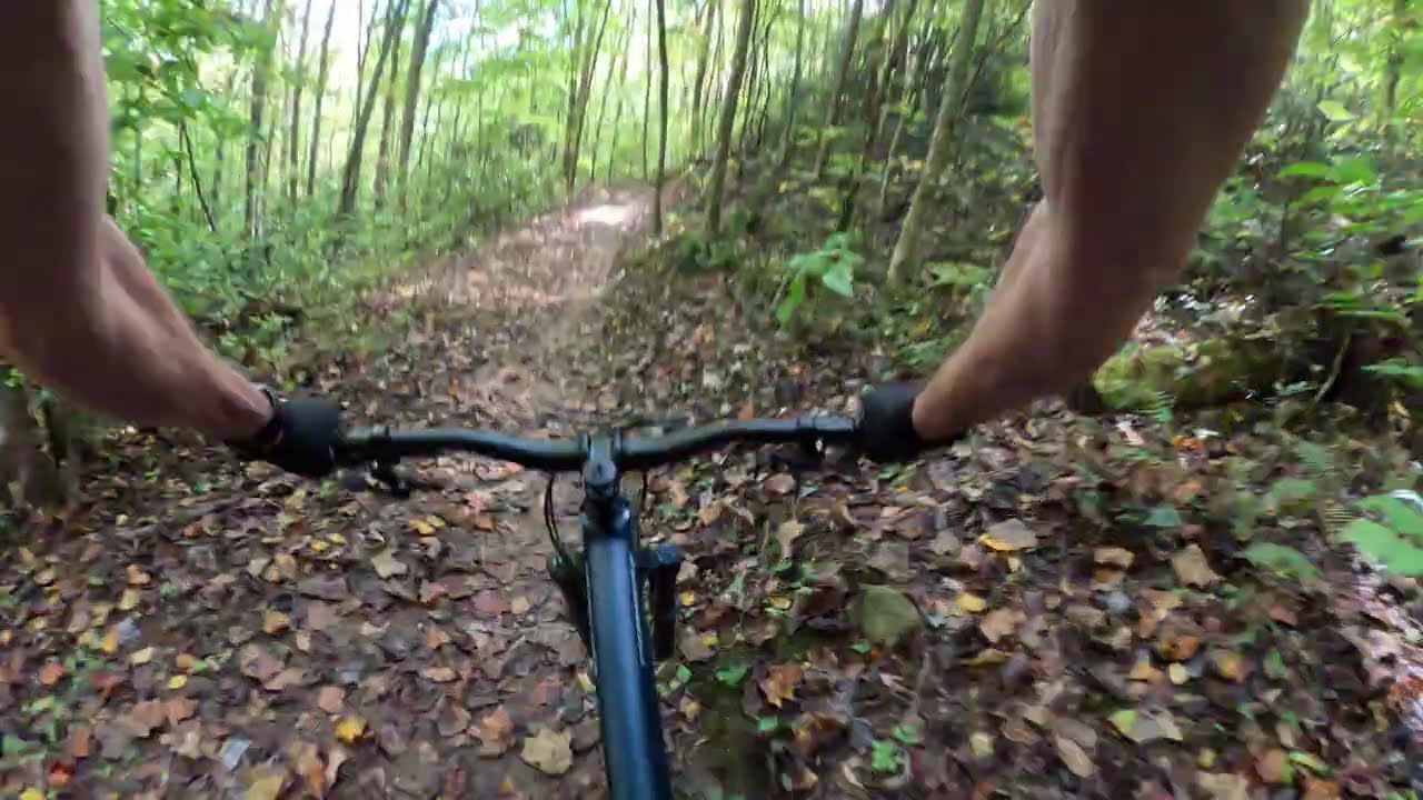 Kessel Run/Fire Tower, Cherokee NC 10/4/2025
