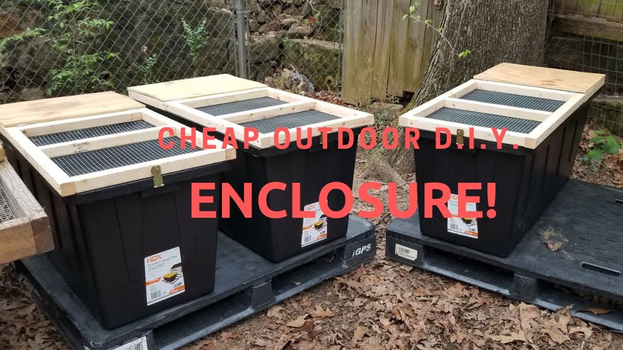 Cheap DIY Outdoor Reptile Enclosure!  Tegus will love this!