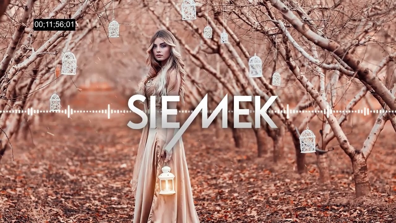 ❤🔥OGIEŃ W SZOPIE🔥♥️ NAJLEPSZA KLUBOWA MUZYKA DO AUTA❤️😍LISTOPAD 2025😱✅⛔MEGA MIX⛔VOL.5 @DJ SIEMEK