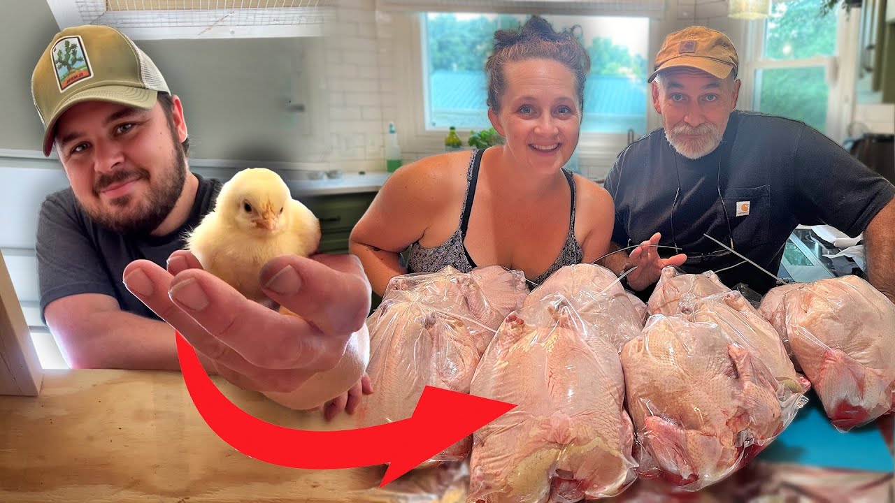 We Raised Our Own Meat Chickens and Hosted Family Dinner!