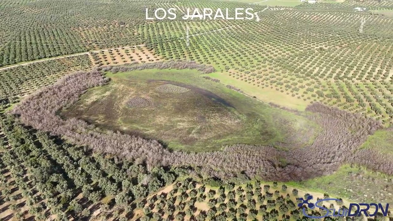 LAGUNAS SUR DE CORDOBA