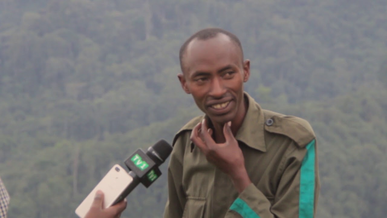 Icyegeranyo ku Ishyamba rya kimeza rya Gishwati