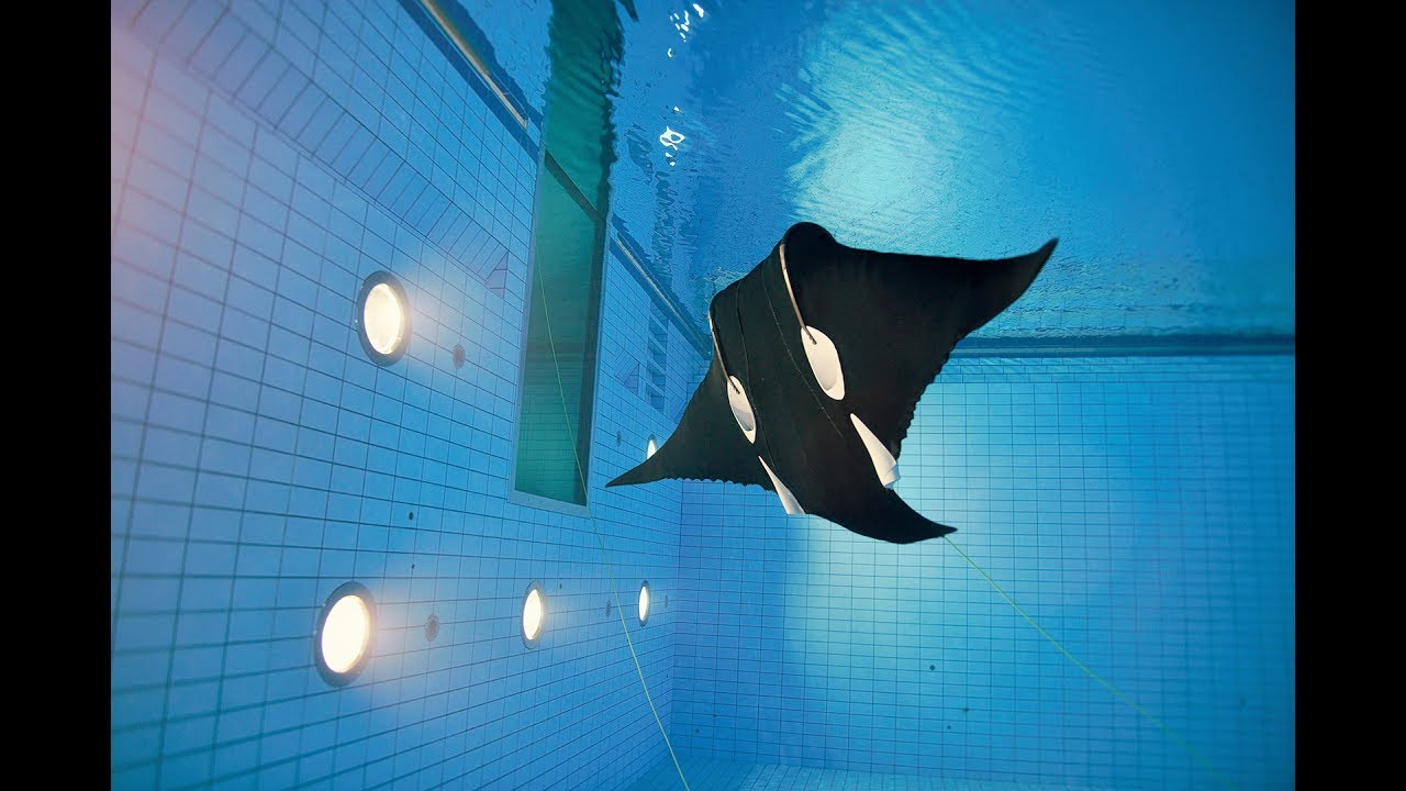 EvoLogics BOSS Manta Ray - the stunningly lifelike subsea robot for automated monitoring