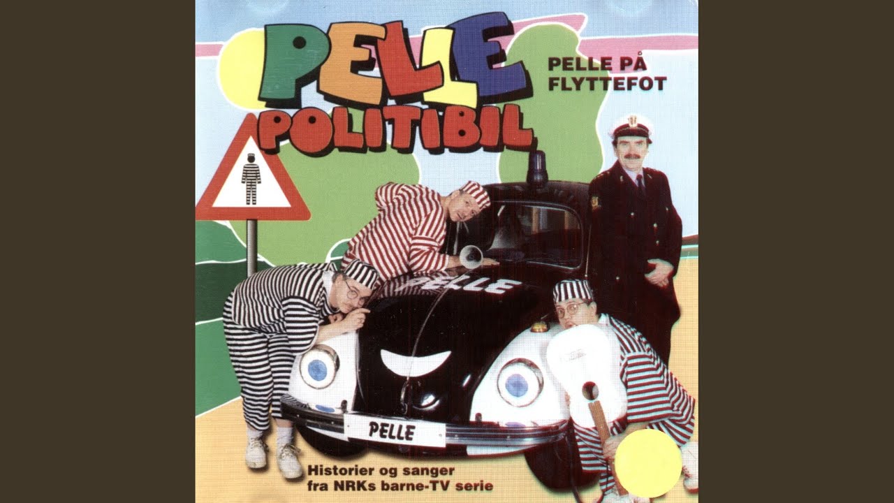 Pelle Politibil