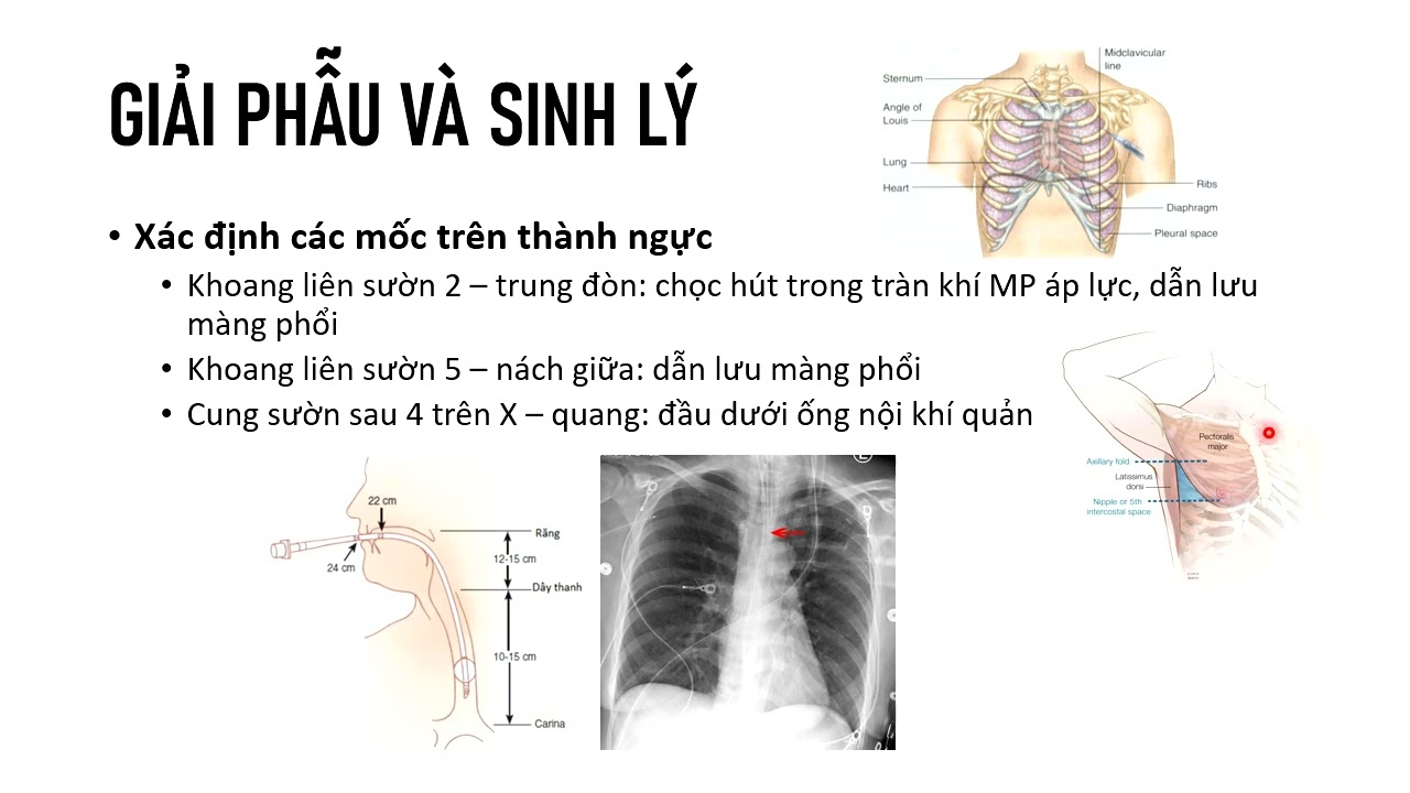KHÁM HỆ HÔ HẤP | Đình Đình