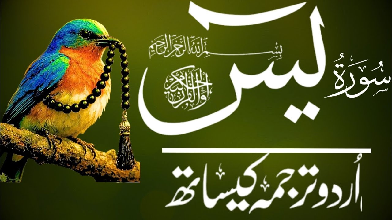 Surah Yaseen with Urdu Translation | EP 184 | Powerful & Soul-Calming Recitation | Al Muqra