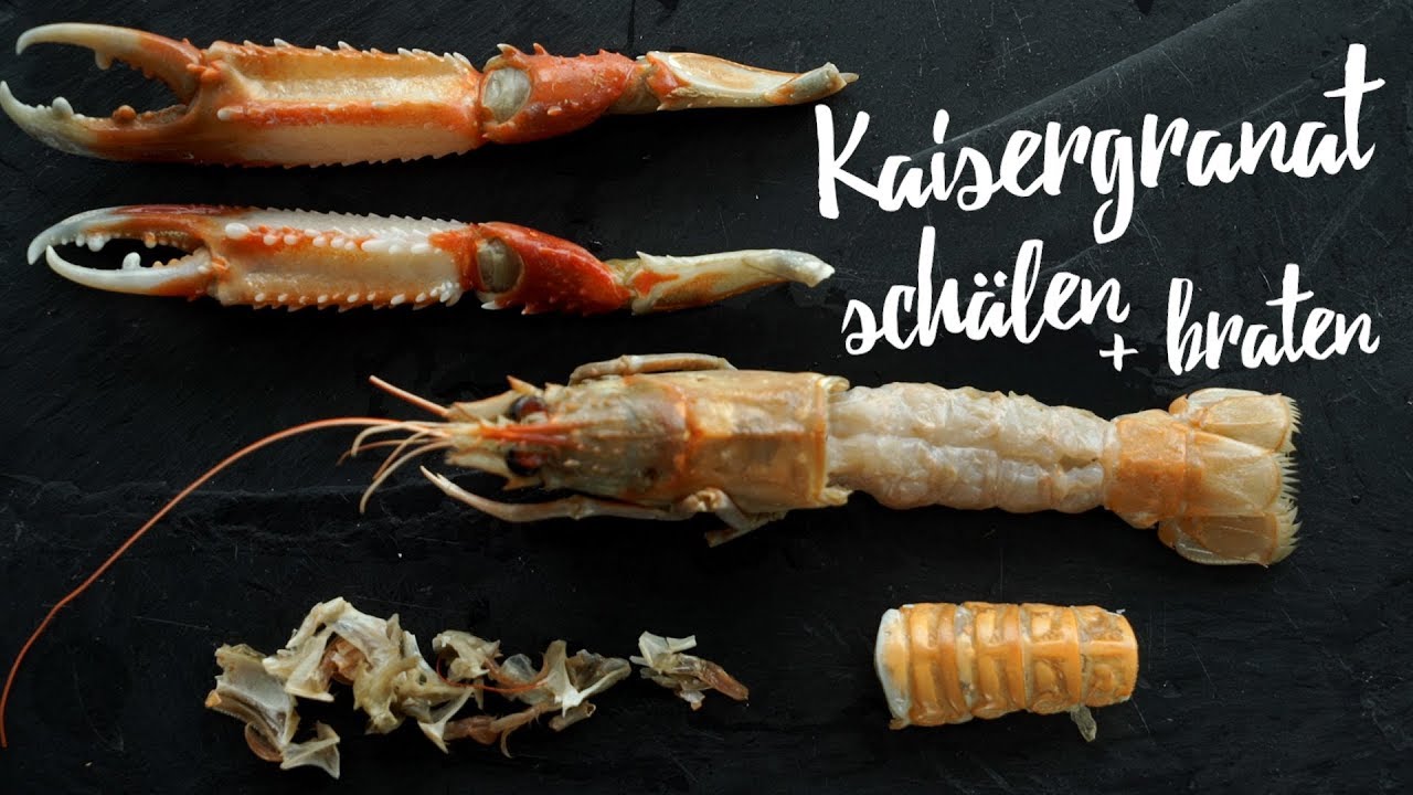 Kaisergranat richtig zubereiten. Gourmondo Food Studio