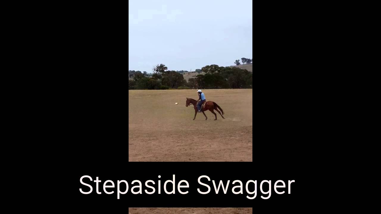 Stepaside Swagger new video