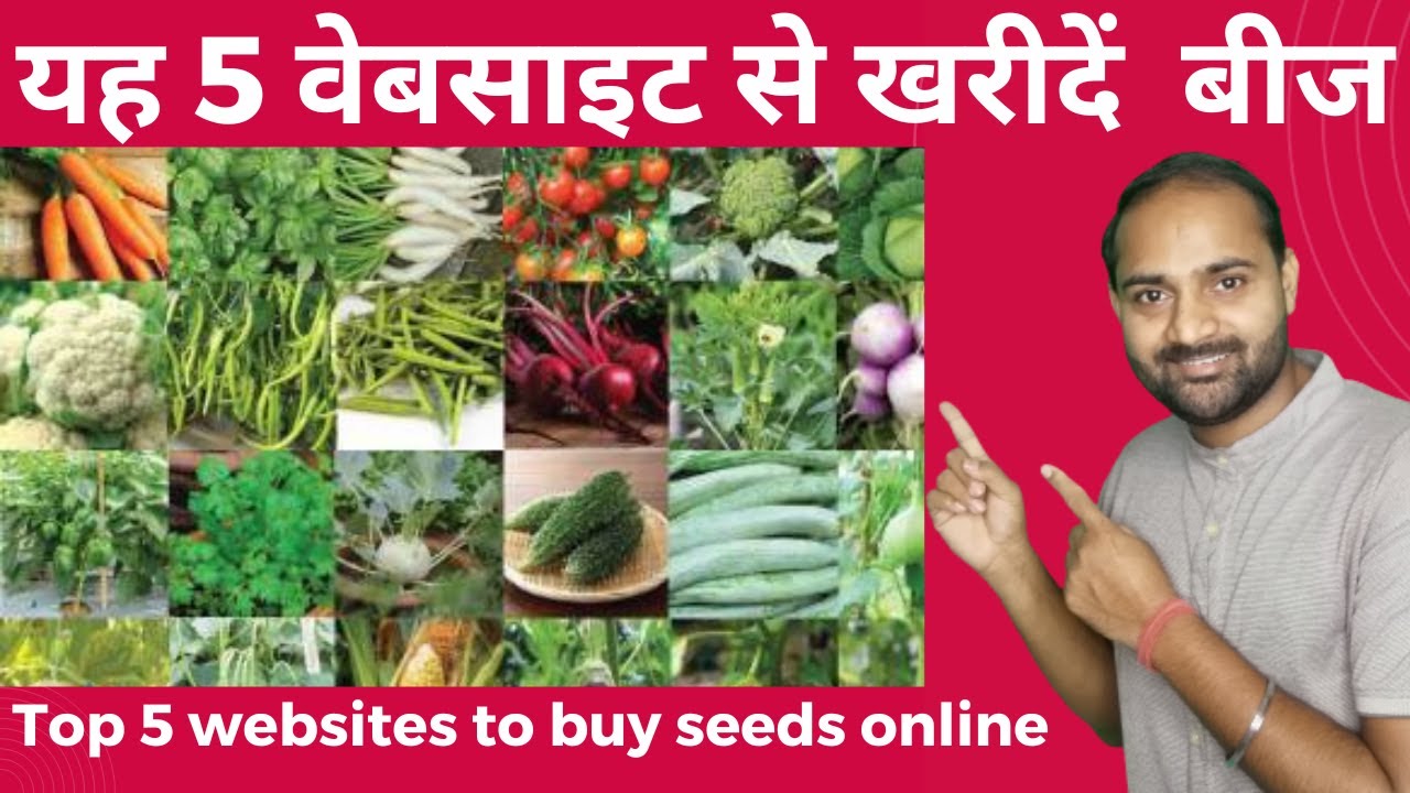 Top 5 Websites To Buy Seeds Online I यह 5 वेबसाइट से खरीदें  बीज I Buy seeds Online #BusinessOnEarth