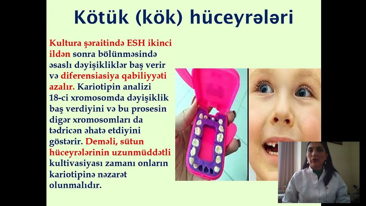 Kök hüceyrələri. Klonlaşdırma. Fakültə: Təkamül genetikası-2-ci kurs