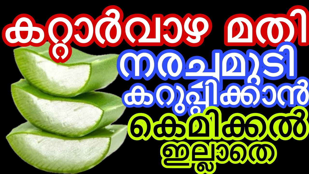 കട്ടകറുപ്പാക്കാം നരച്ചമുടി കെമിക്കൽ ഇല്ലാതെ കറ്റാർവാഴ കൊണ്ട്
