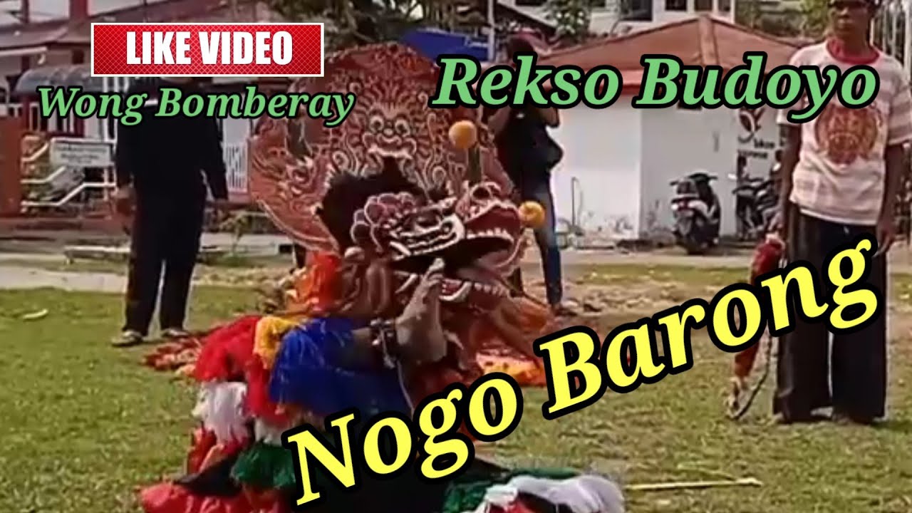 Nogo barong #barongan  #baronganganas