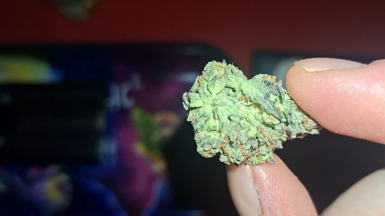 [ASMR] Strain Review : Cherry Poppers / GMO Cake / Dark Matter | FIRST VIDEO WITH NEW CAMERA !!