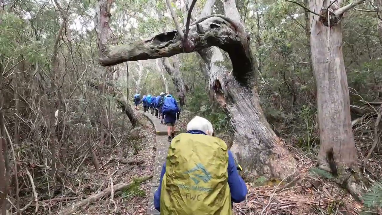 The Three Capes Track, Tasmania -- February 2026