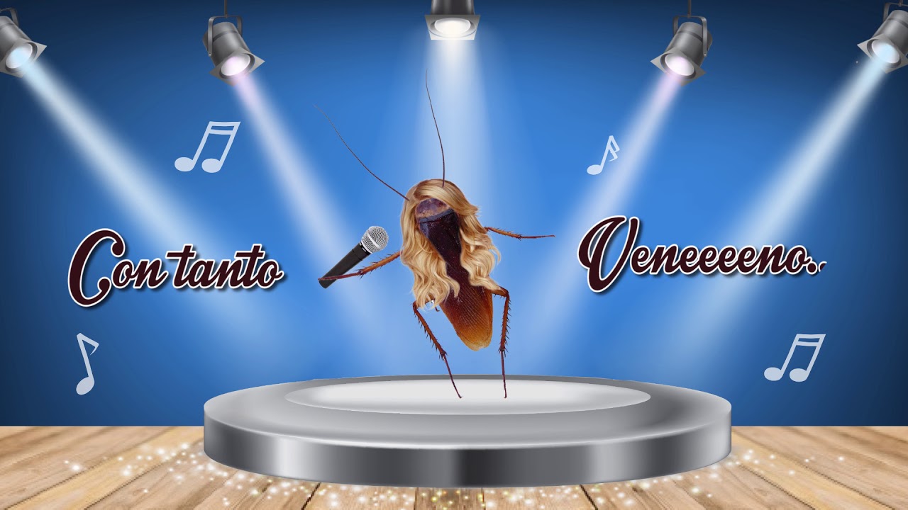 Humor con Copla Group