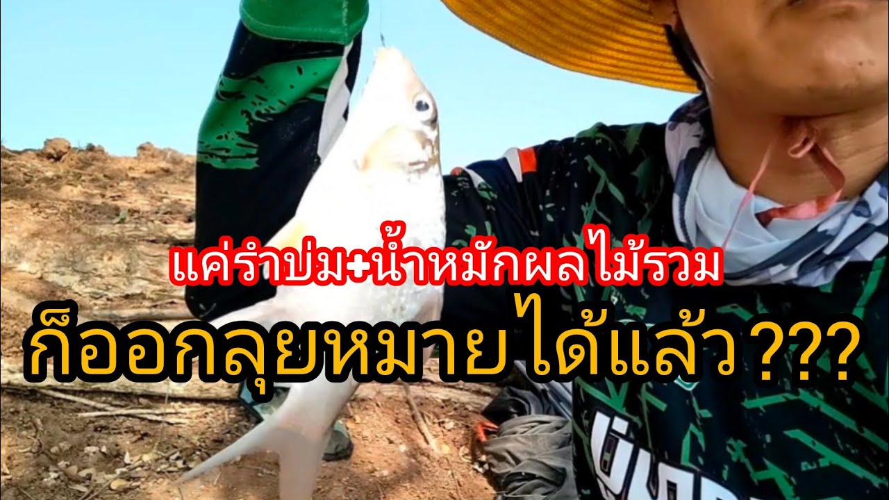 ทดลองใช้แค่รำบ่มผสมน้ำหมักผลไม้รวมตกสปิ๋ว ผลงานจะเป็นยังไง
