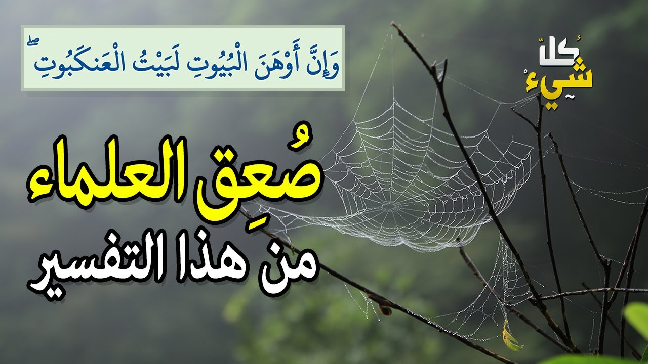 لماذا ارتجف العلماء بعد علمهم بتفسير قوله تعالى: إن أوهن البيوت لبيت العنكبوت؟