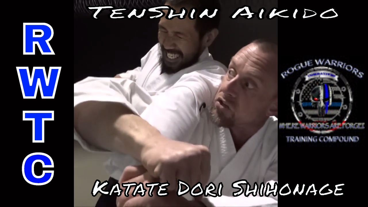 One of Aikido's Deadliest arm locks - SHIHONAGE #takingaikidoback