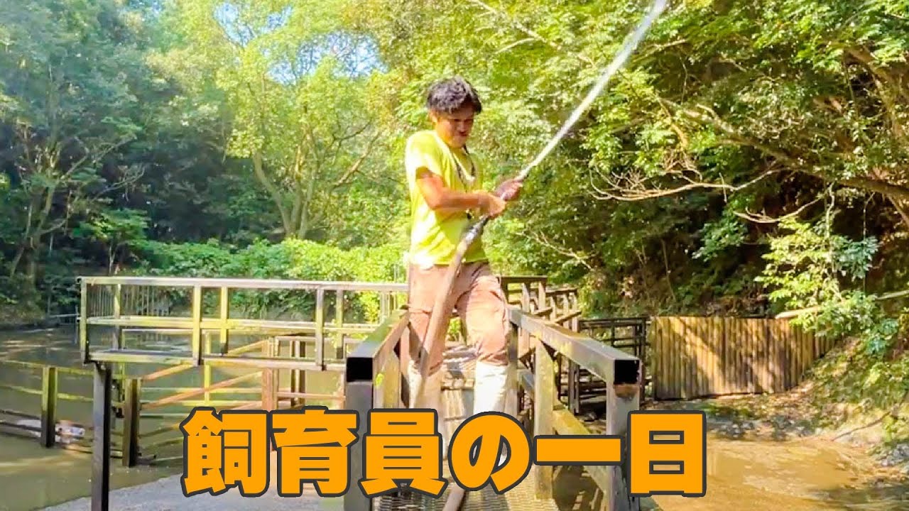 バイオパーク広報が飼育員やってみた！