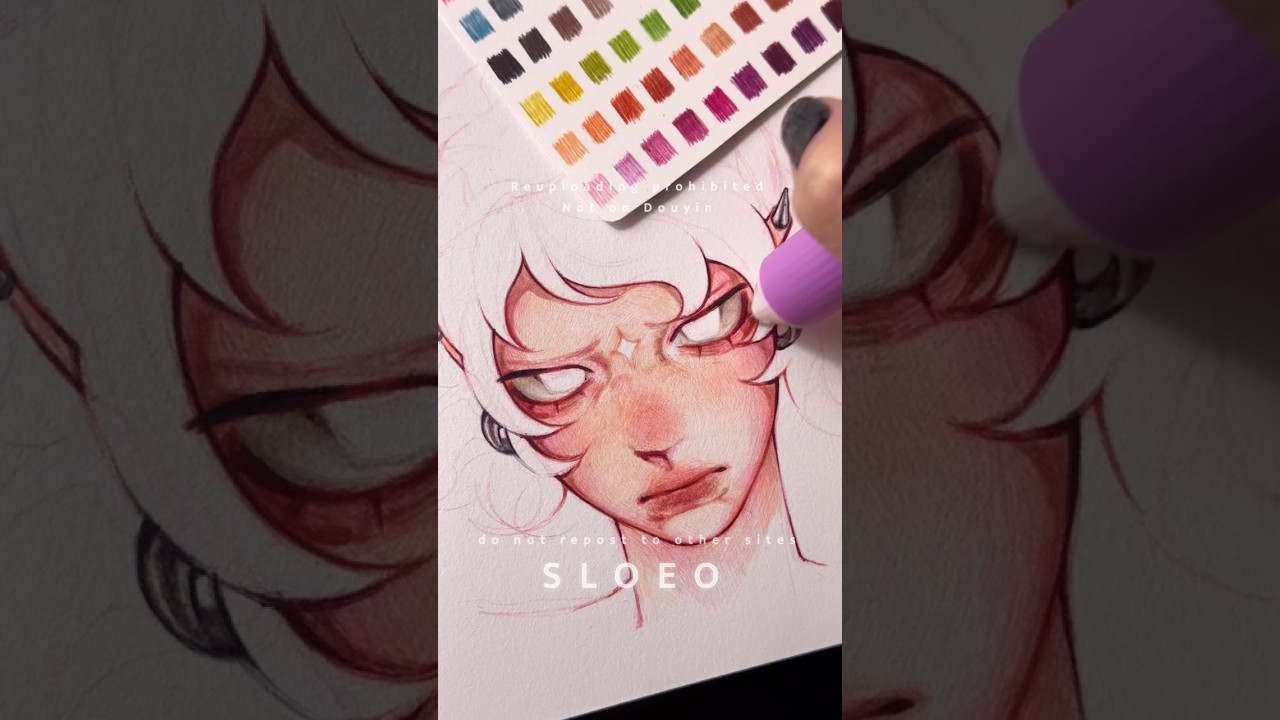 Languo Ballpoint pens 12 pack #pendrawing #ballpointpen 