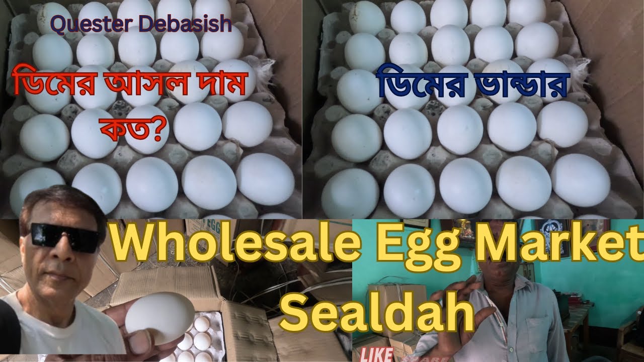 Egg Wholesale Market Kolkata l#wholesale #eggs| lশিয়ালদহ ডিম পট্টি |सियालदह में सस्ते अंडे का बाजार
