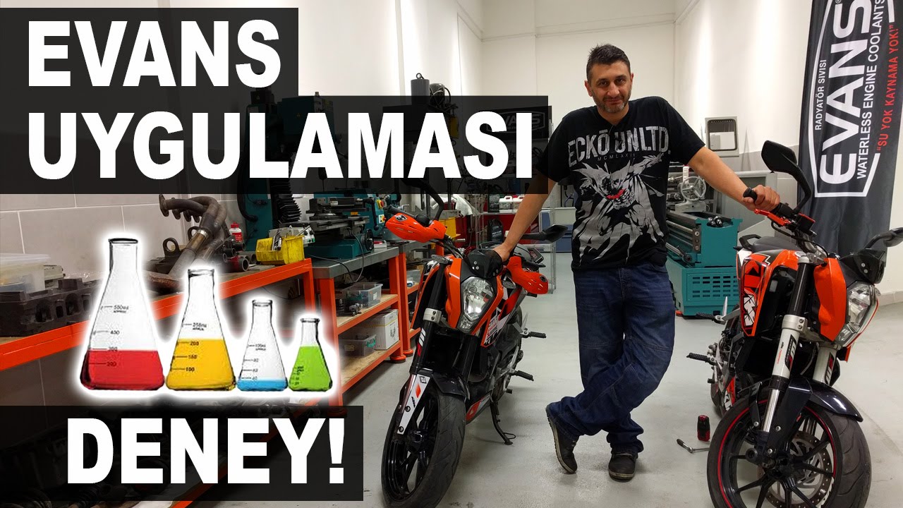 EVANS Uygulaması (Karşılaştırmalı Deney)