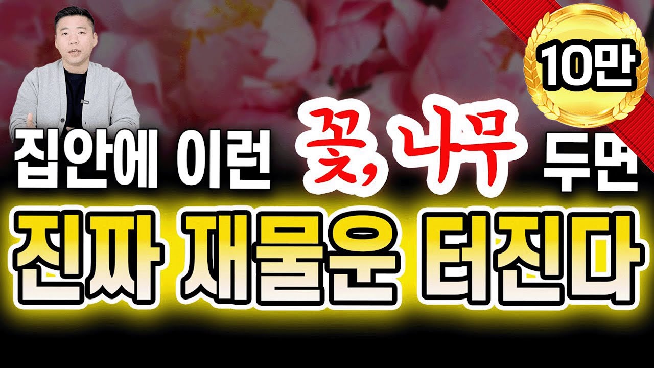 집안에 이런 꽃과 나무를 두면, 진짜 재물운 터집니다.