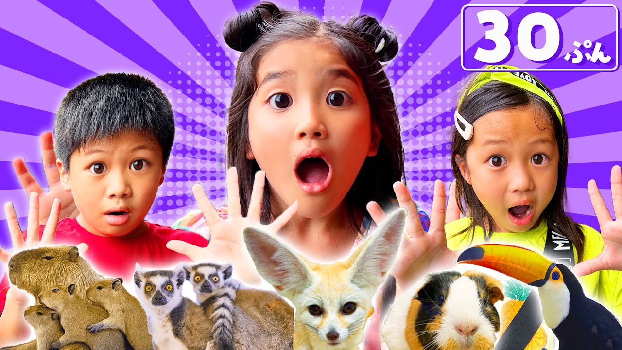 こたみのチャンネル＆たけめいストーリー友情物語30分！動物・お出かけ・遊園地…思い出いっぱい！✨コラボ　寸劇　教育