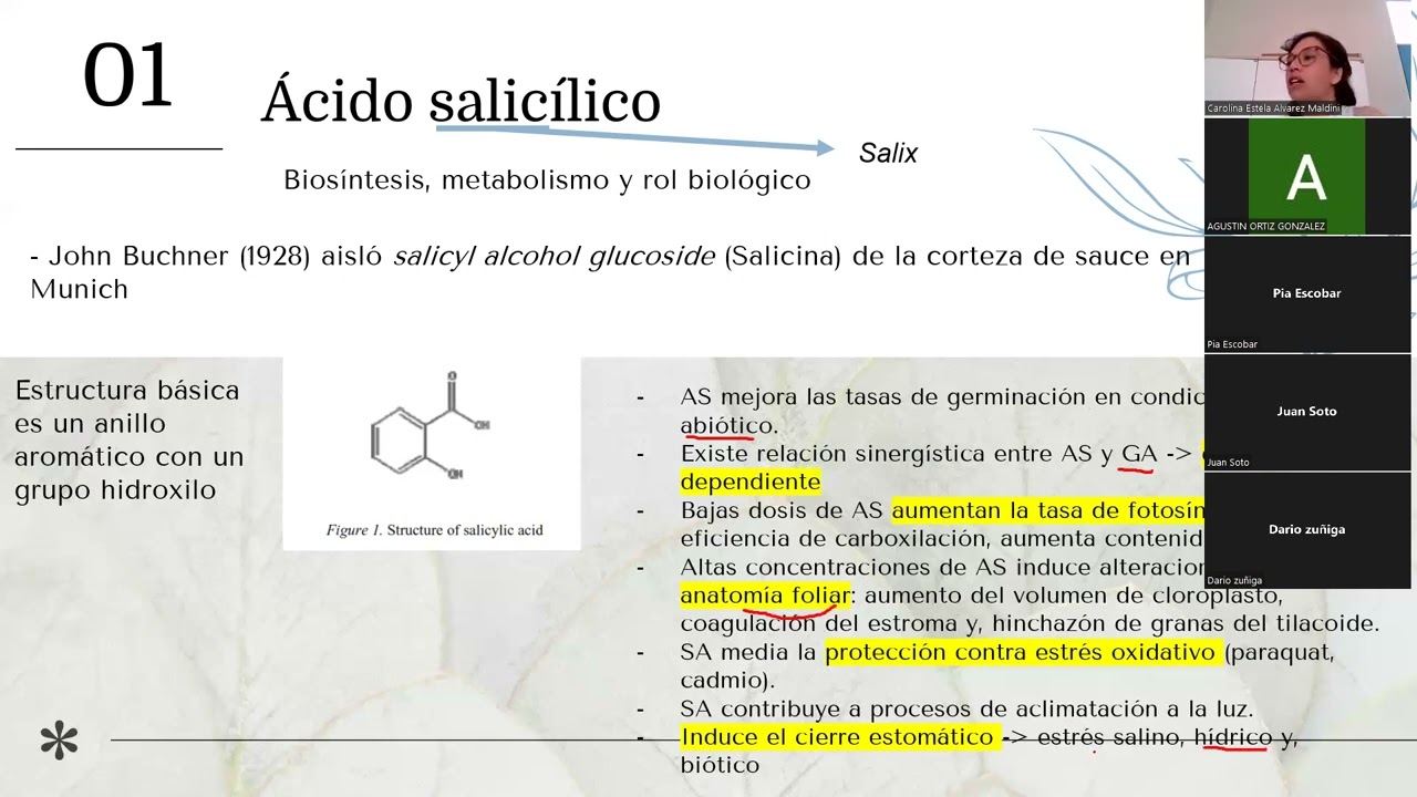 Ácido salicílico y ácido jasmónico