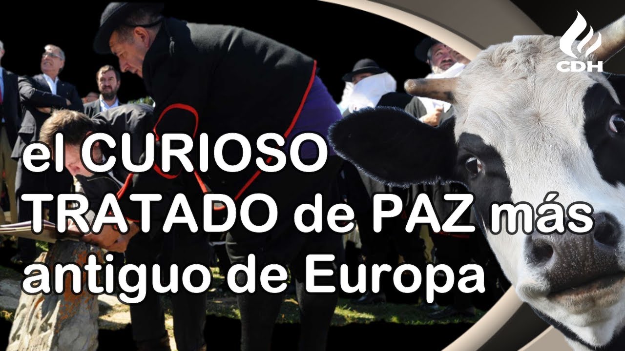 TRATADO de las Tres Vacas🐮 TRATADO de PAZ más ANTIGUO y curioso de EUROPA