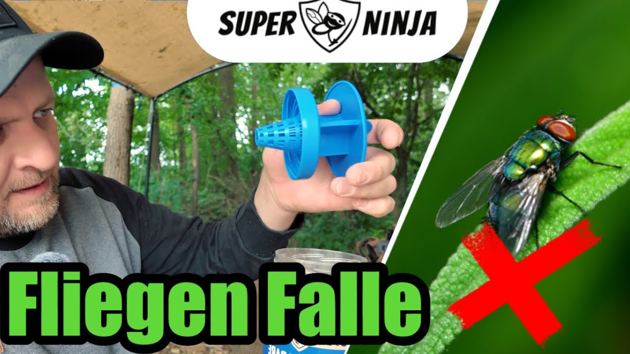 🪰 #Fliegenfalle ohne Chemie #Test