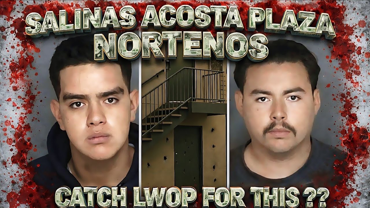 SALINAS ACOSTA PLAZA NORTHERNERS PARALYZED AN INNOCENT WOMAN AND CATCH LWOP