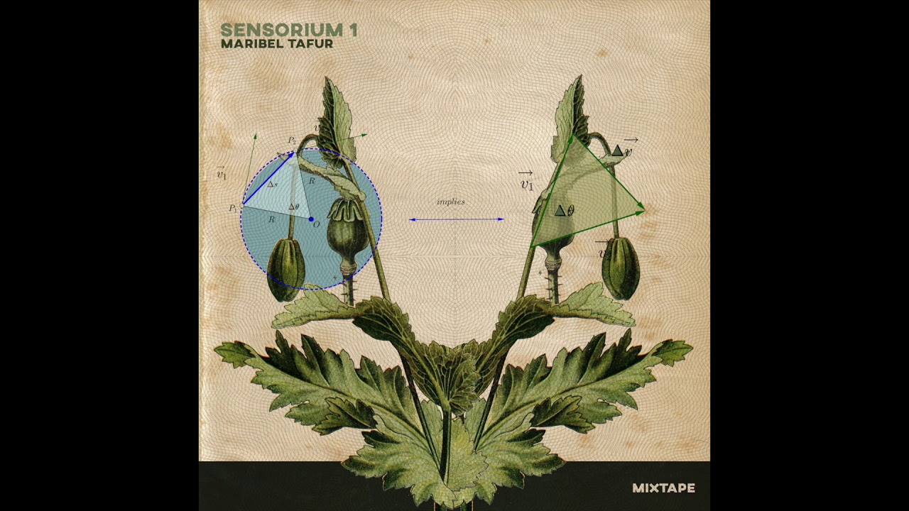 Sensorium Mixtapes #001 (Ambient | Soundscapes | Experimental)