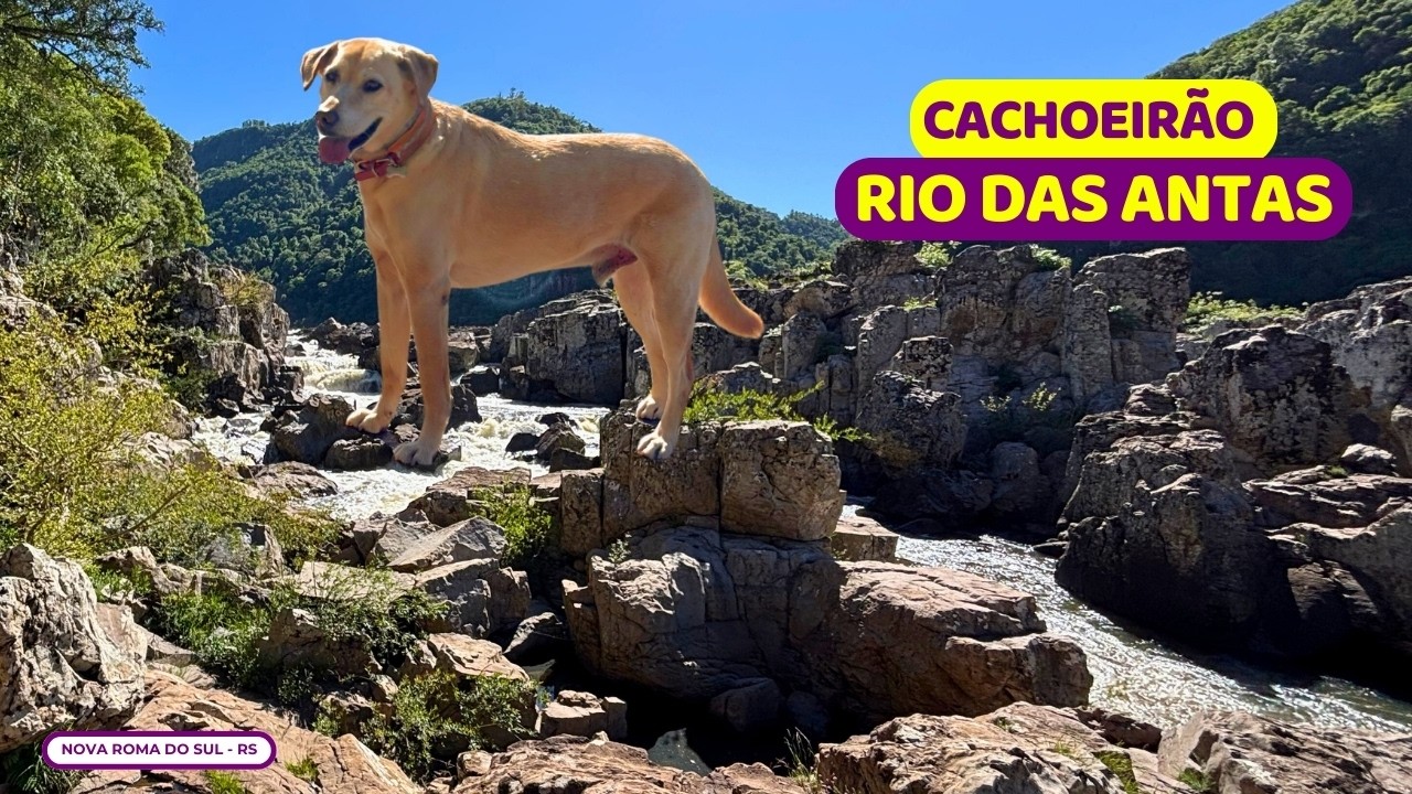 ⚠️ATENÇÃO: FORTE correnteza | Cachoeirão das Antas | Nova Roma do Sul | Nova Pádua