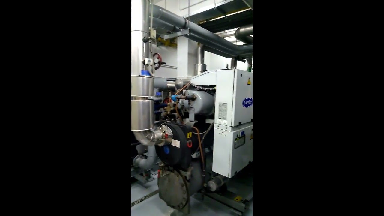 Weishaupt-Viessmann hot water boiler room