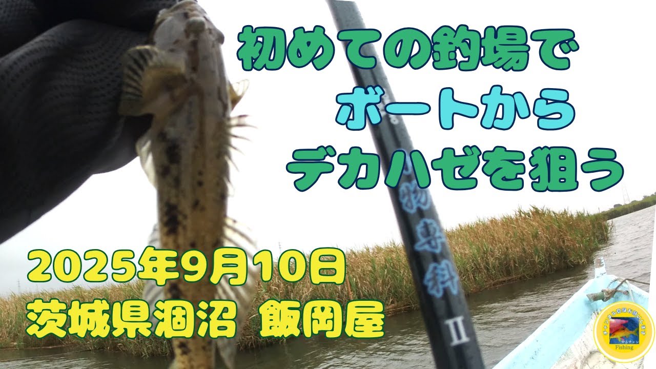 初めての涸沼でボートハゼ釣り 2025年9月10日 茨城県 涸沼 #釣り #ハゼ #涸沼 #飯岡屋