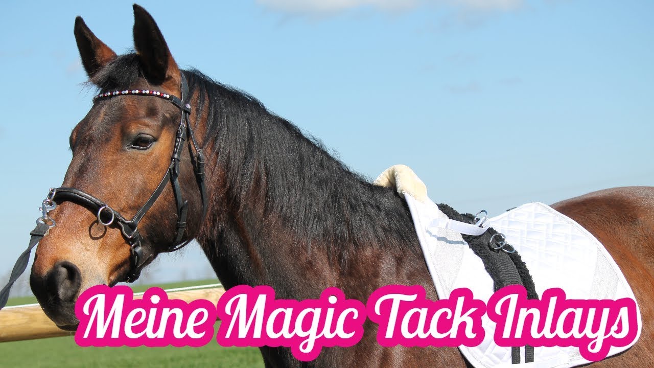 Meine Magic Tack Inlays