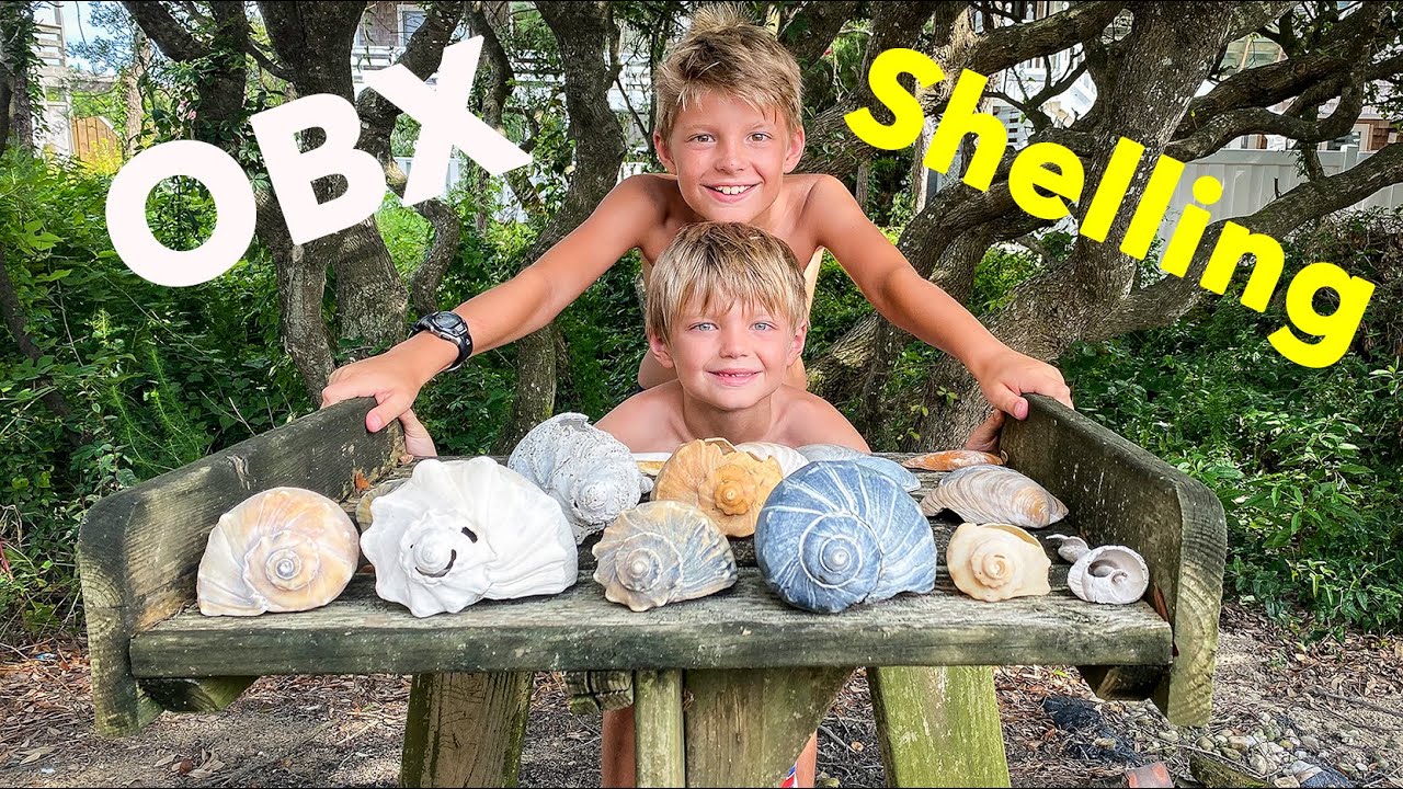 Outer Banks Shelling Adventure!!!