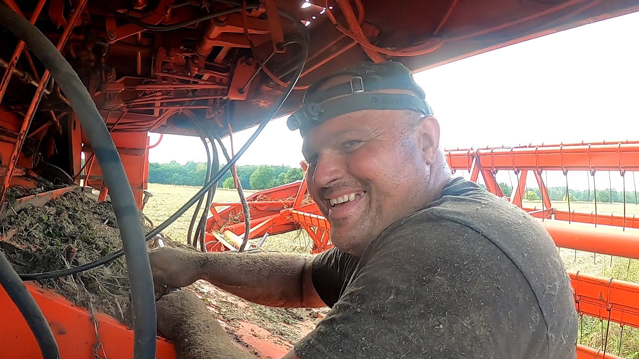 Najcieplejszy dzień żniw Tomasz kosi groch Bizonem z 1988 roku