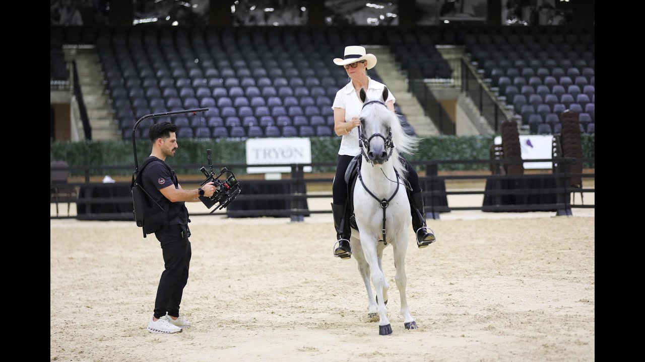 Paso Fino Documentary 2025