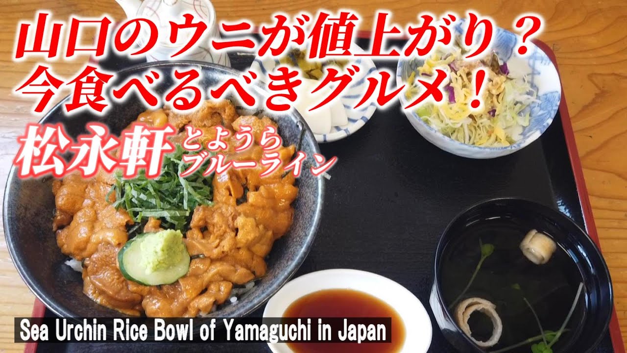 【下関グルメ】今が食べ時のうにづくし丼は絶品だった！「松永軒とようらブルーライン」【 Sea Urchin Rice Bowl / Shimonoseki / Yamaguchi in Japan】