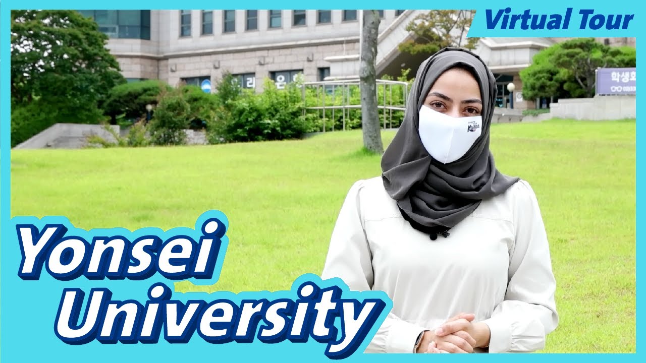 Korea Insights - Yonsei University 🎓