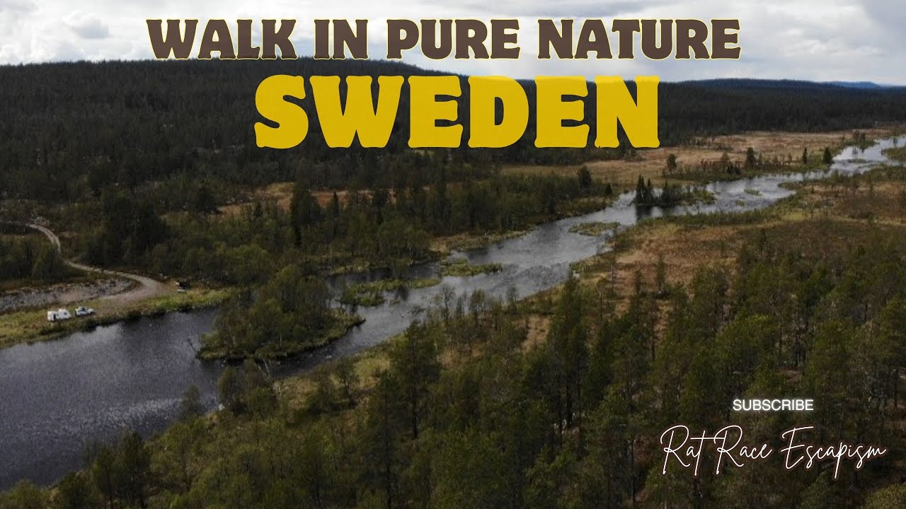 An idyllic day in Sweden &mdash; camping by a river, surrounded by pure nature. 🌲🐾